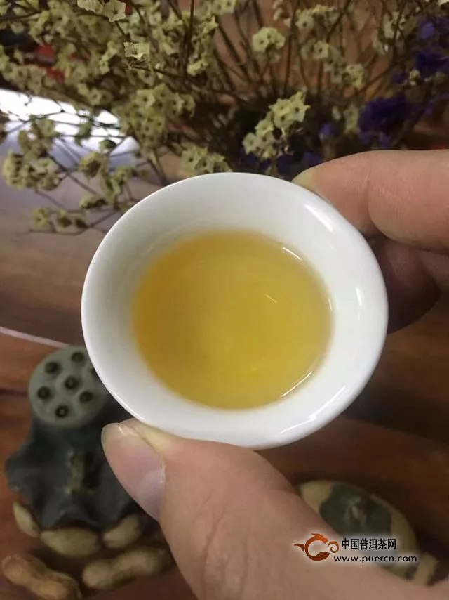 好一個南糯山古茶——一任天真