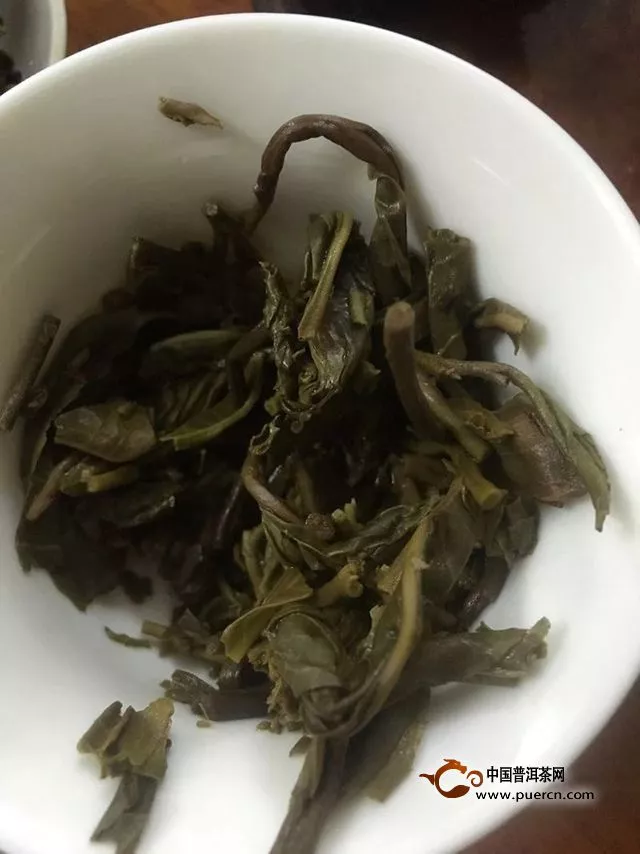 好一個南糯山古茶——一任天真