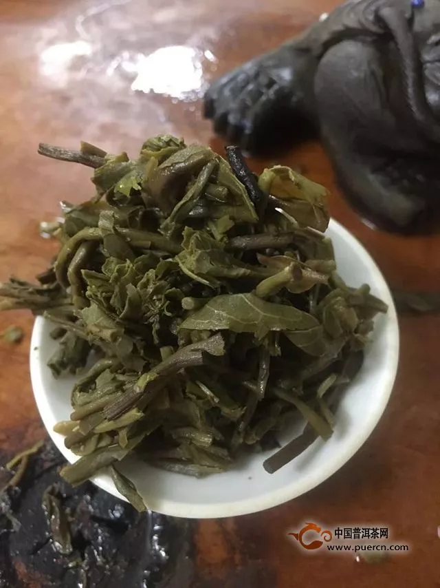 好一個南糯山古茶——一任天真