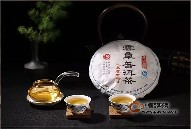 勐库茶，群山的味道