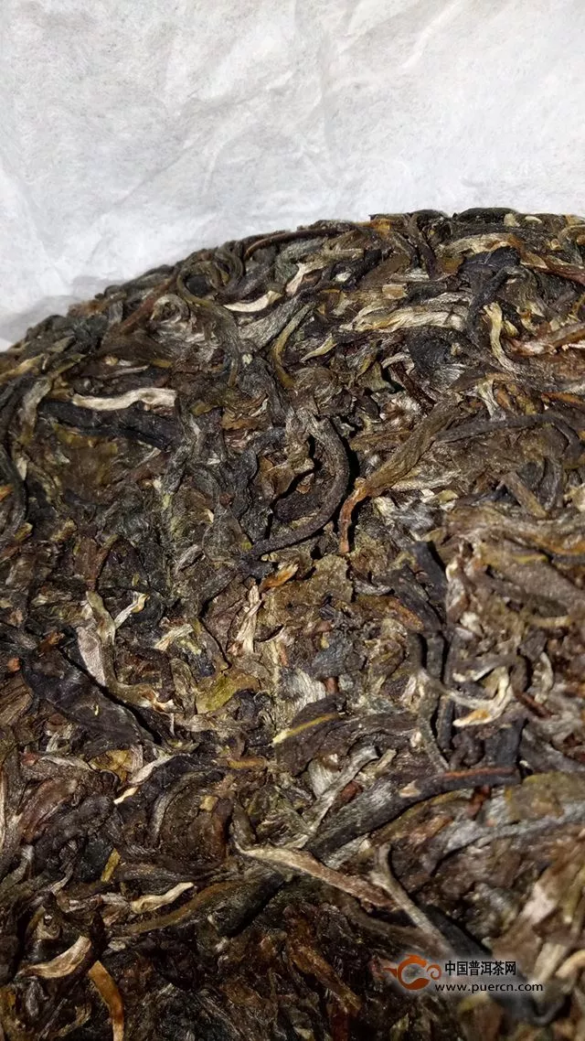 不可多得的持续回甘 ——2015年拉佤布傣老树茶（一）品鉴报告