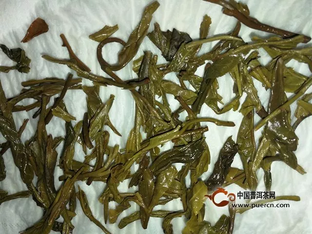 2015年拉佤布傣大富赛老树生茶——试用测评