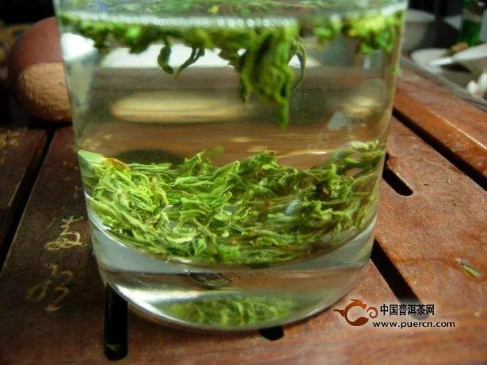 什么是屯溪绿茶