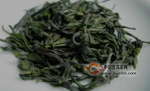 屯溪绿茶历史与现状