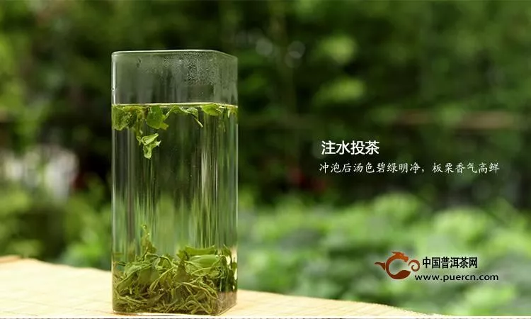 屯溪绿茶作用