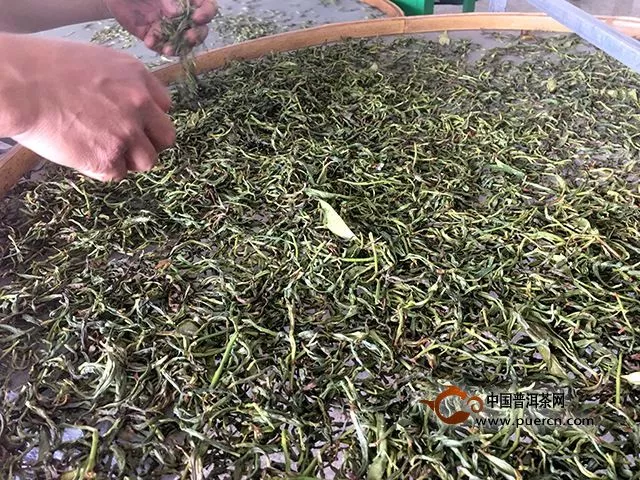 鳳凰單叢制茶工藝流程