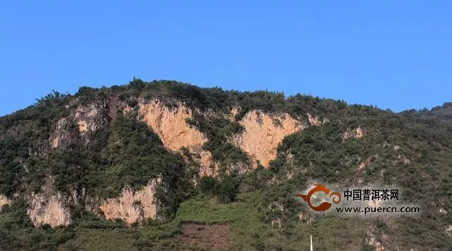 普洱茶，“根植于斯，聲名于外”