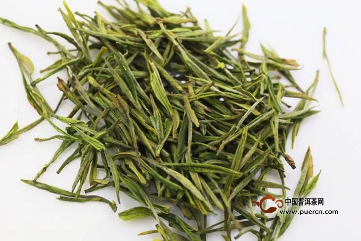 靖安白茶是绿茶吗