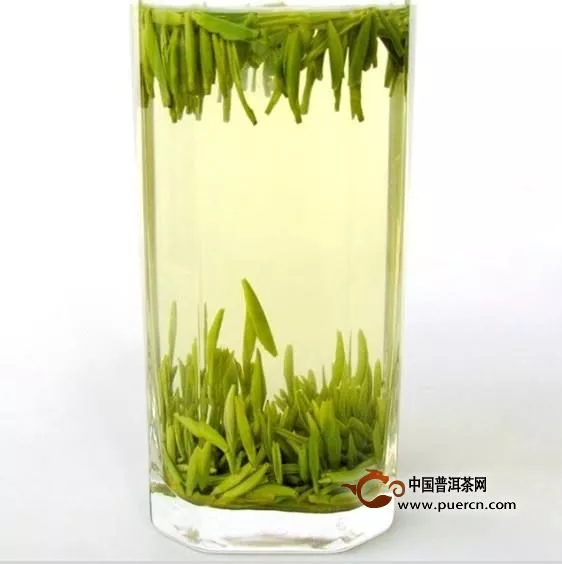 靖安白茶是绿茶吗