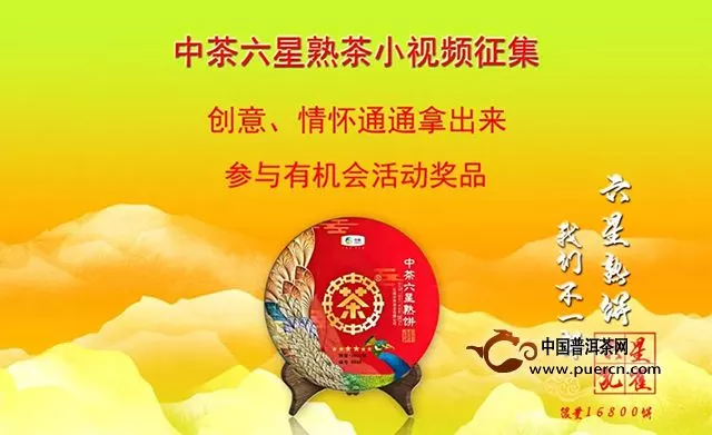 中茶六星熟茶金羽孔雀翱巔峰丨限量版