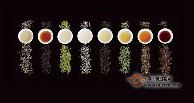 红茶研究院｜鲜叶篇：茶多酚不是酚