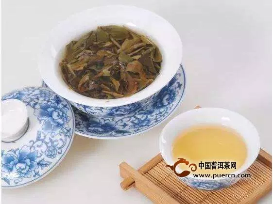 福鼎白茶餅怎么泡