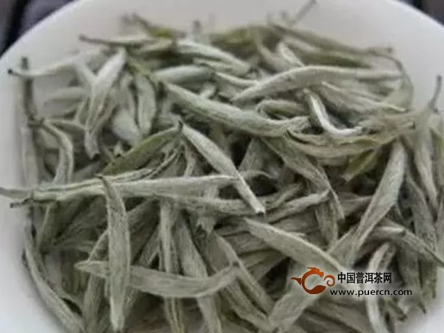 绿雪芽白茶历史
