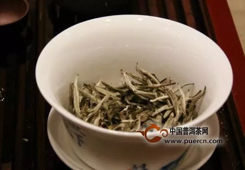 福鼎老白茶蓋碗泡法