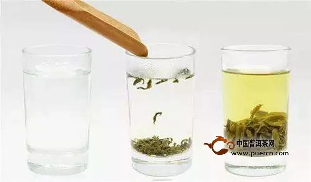 望海茶泡法