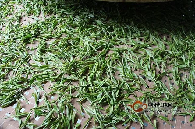 白毛猴茶簡(jiǎn)介