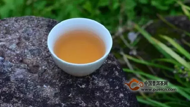 闽北水仙茶