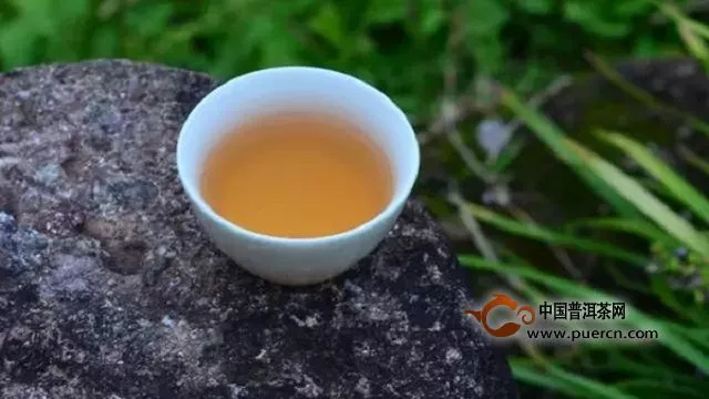 閩北水仙茶