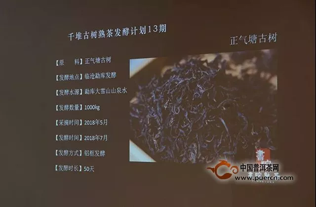 【正氣塘：味蕾上的欣怡】千堆古樹熟茶發(fā)酵計(jì)劃第十三期