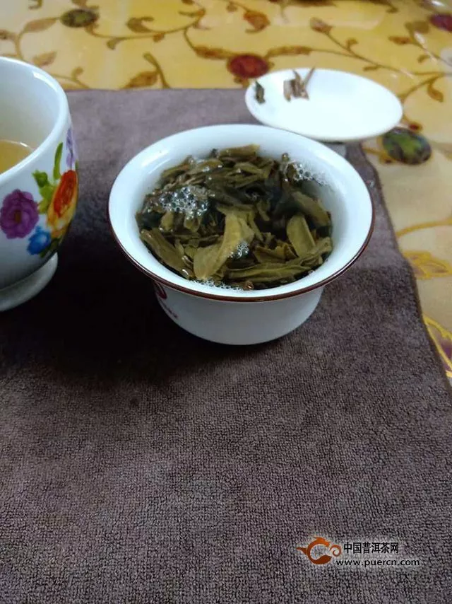 瑞贡天朝，起起伏伏如杨花｜2018年兴海茶业易武生态乔木生茶357克试用评测