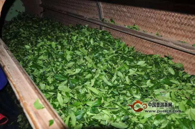 台湾东方美人茶制作工艺