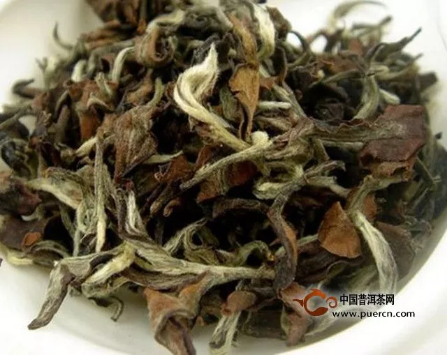 东方美人茶产自哪里