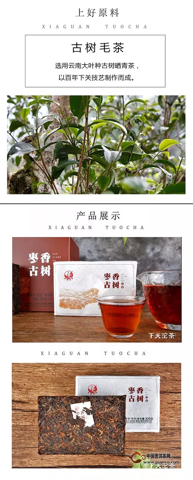 【新品】枣香古树砖茶——“砖”属你的小甜蜜，温暖相随！