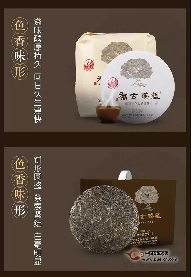 【新品】蕴臻古乔七子饼茶——身藏高科技秘密的普洱茶