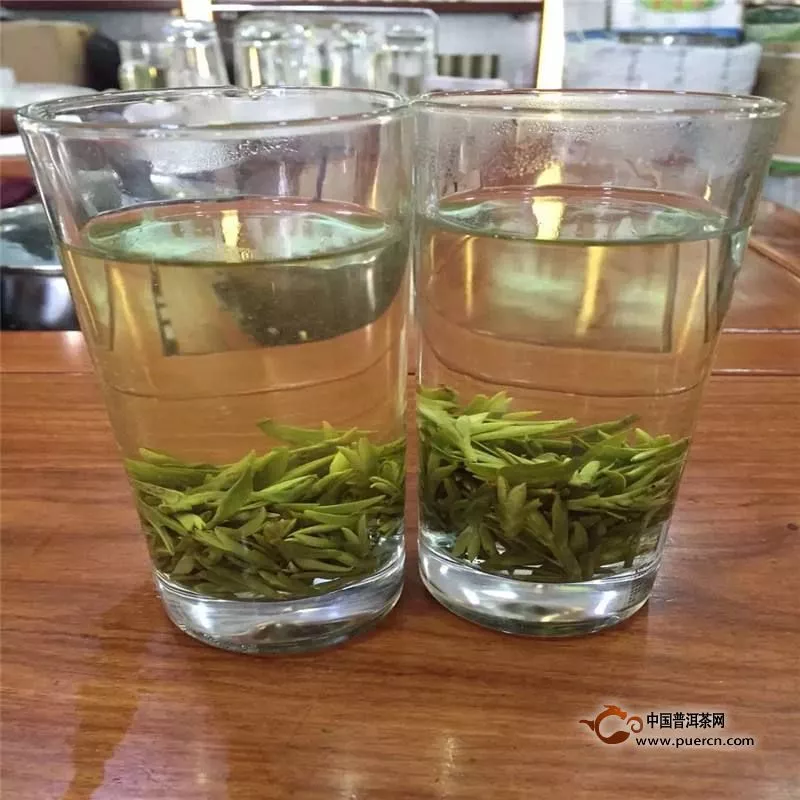 金寨翠眉是绿茶吗