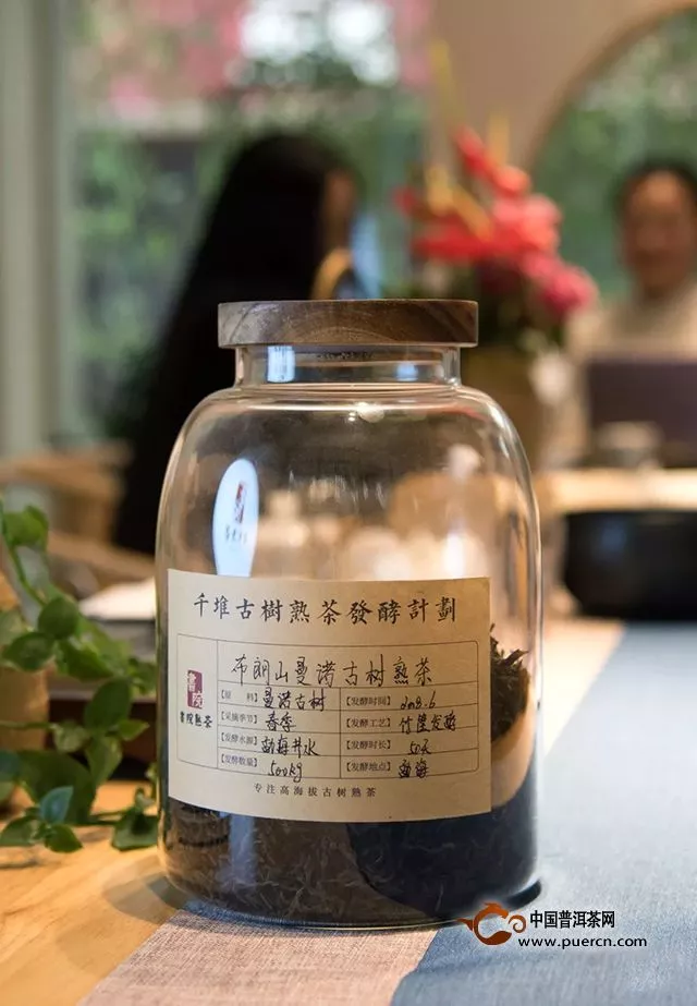 【布朗曼诺：滑厚有韵，转化可期】千堆古树熟茶发酵计划第十四期——布朗曼诺