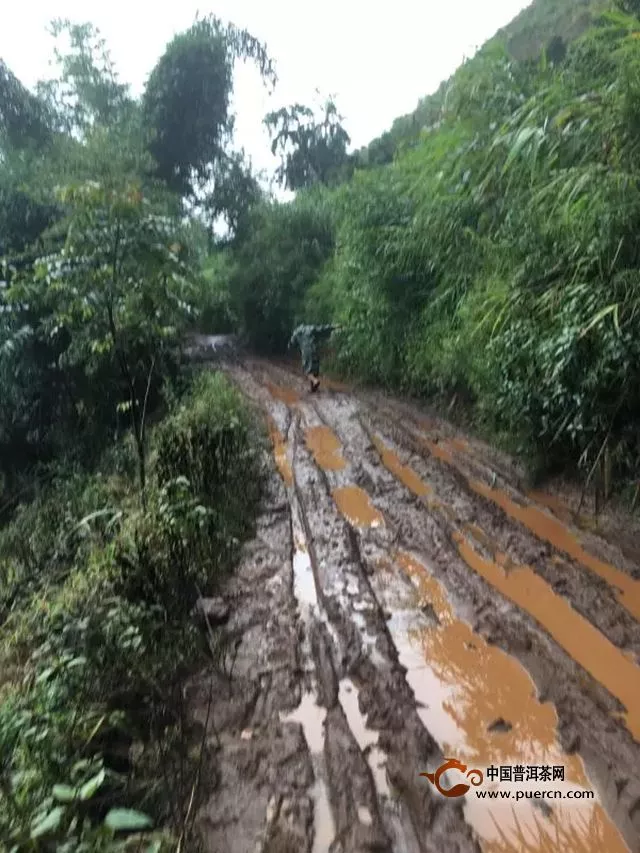 讓名山觸手可及：大戶賽的路