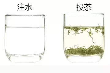 陕南绿茶的冲泡方法