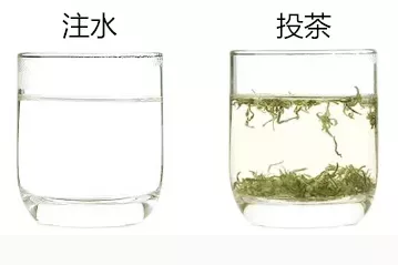 陜南綠茶的沖泡方法