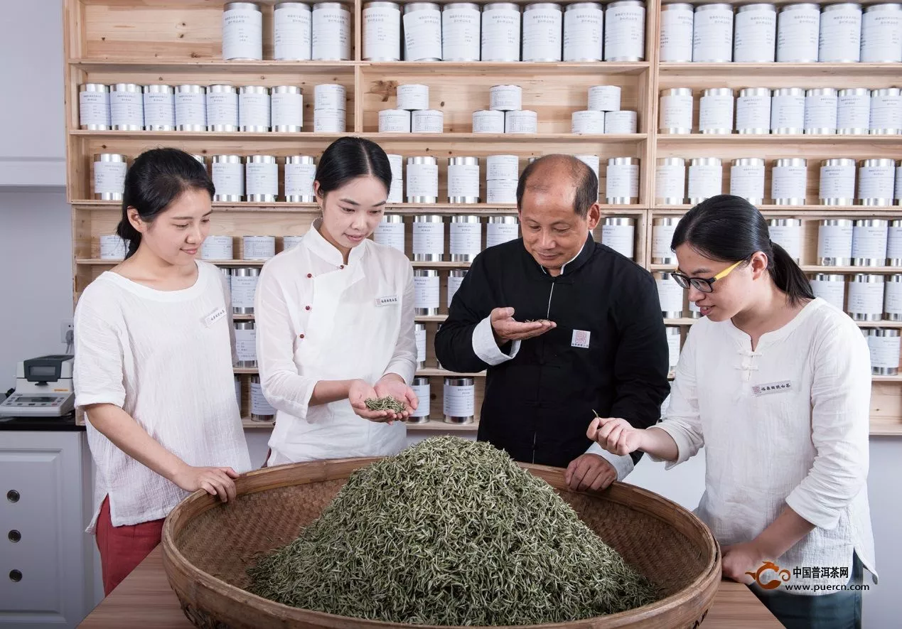 【白茶新闻】解密福鼎白茶热潮，深度探析白茶品牌发展之路