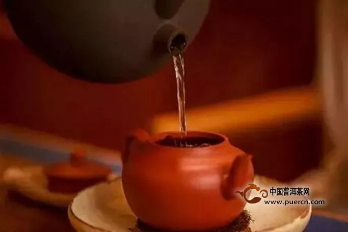福鼎白茶的冲泡方法