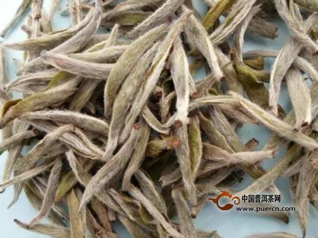 白茶的品種有哪些