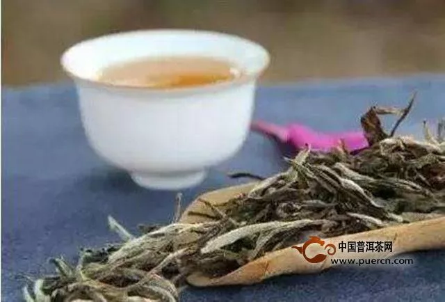 白茶的品种有哪些