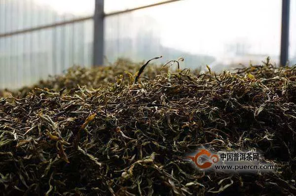 茶葉受潮怎么辦？受潮的茶葉還能喝嗎