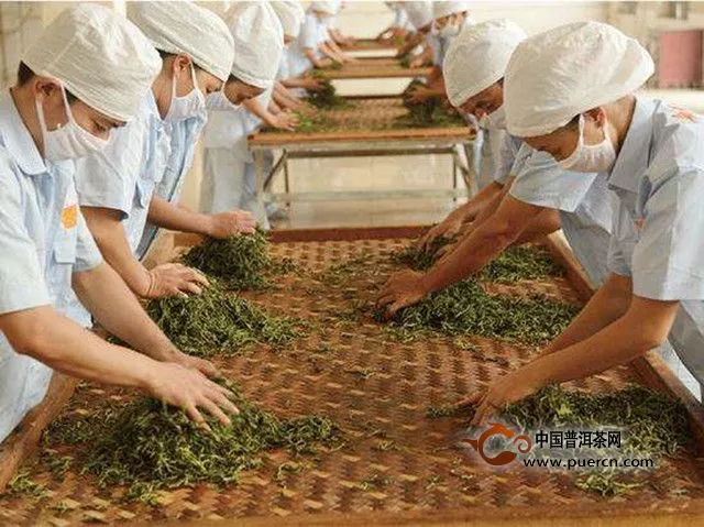 關于黑茶的制茶工藝