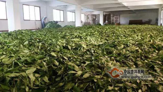 關(guān)于黑茶的制茶工藝