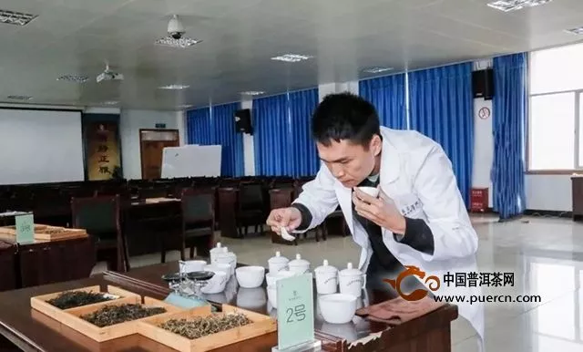 勐海茶修中心为什么能吸引海内外茶人来此拜师学艺？