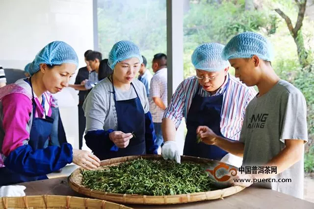 勐海茶修中心为什么能吸引海内外茶人来此拜师学艺？