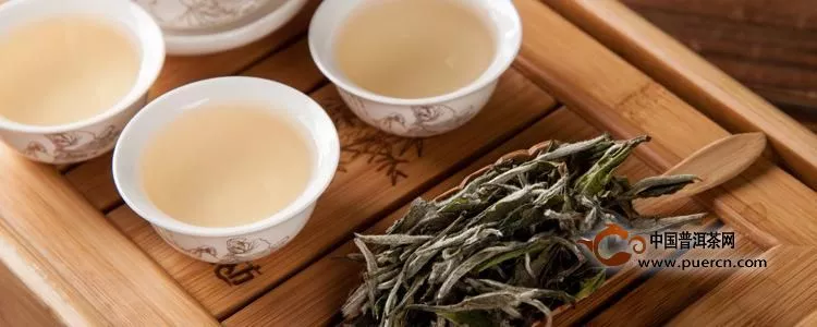 白茶种植技术
