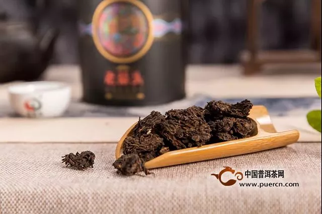 每日熟茶：老茶頭