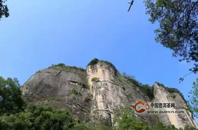 武夷岩茶中的岩骨花香从何而来