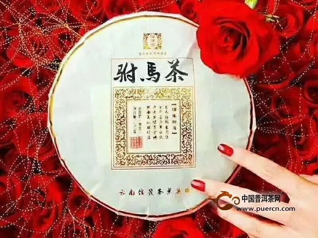 2019年生肖纪念茶信茂堂【掌上明猪】隆重上市