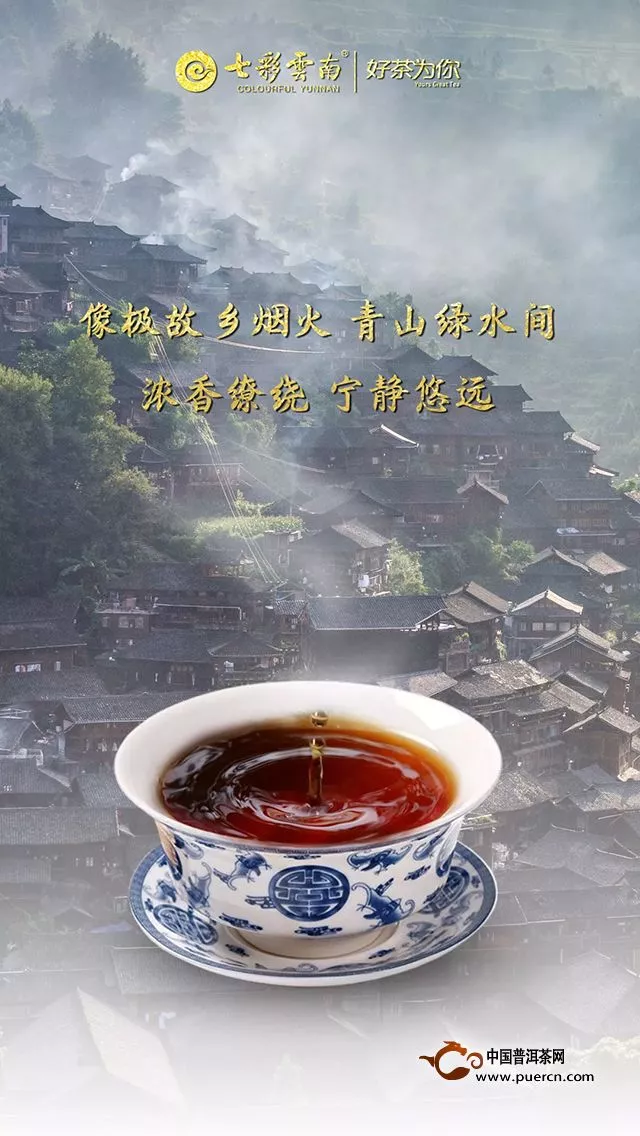 这是一杯带你回到江南的老熟茶