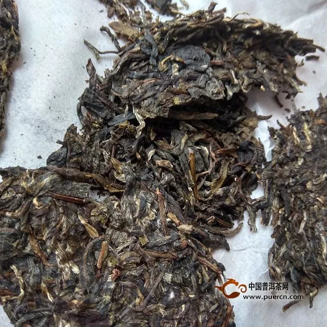 一任天真倚邦細(xì)腰子古樹純料茶測評報告