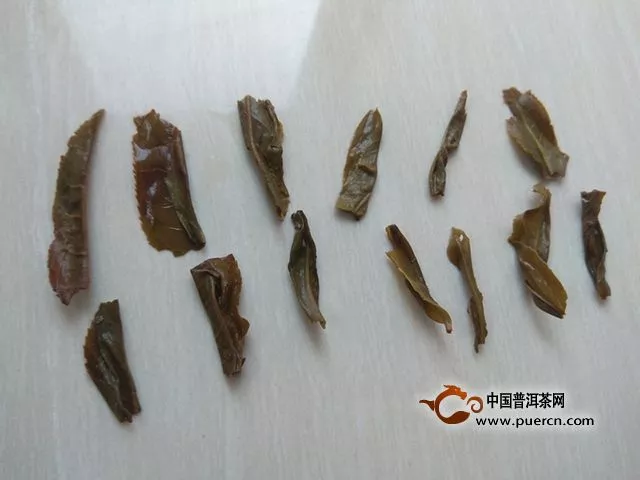 一任天真倚邦細(xì)腰子古樹純料茶測評報告