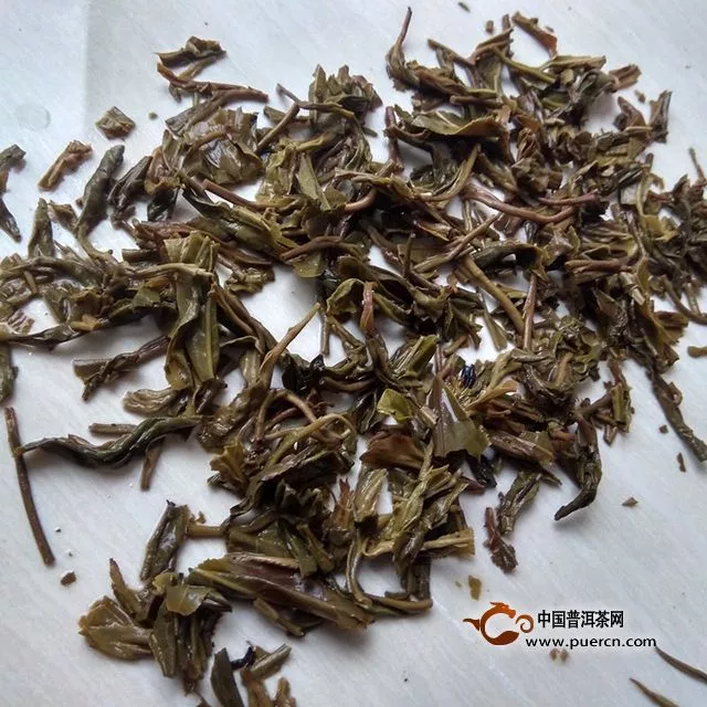 一任天真倚邦細(xì)腰子古樹純料茶測評報告